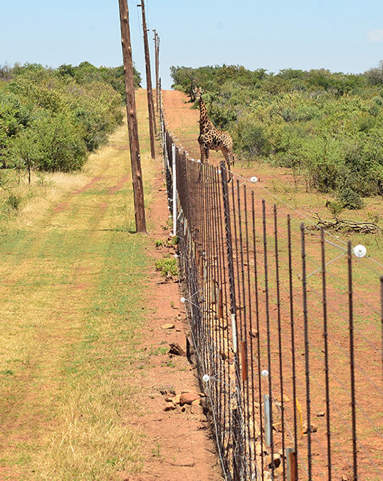 How to Ensure Your Electric Fence Installation is Compliant